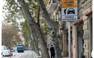 Zərifə Əliyeva küçəsi