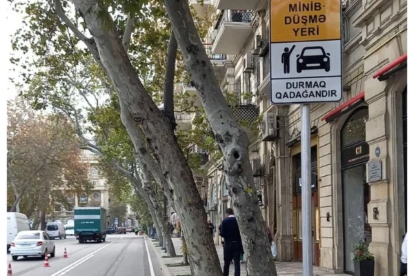 Zərifə Əliyeva küçəsi