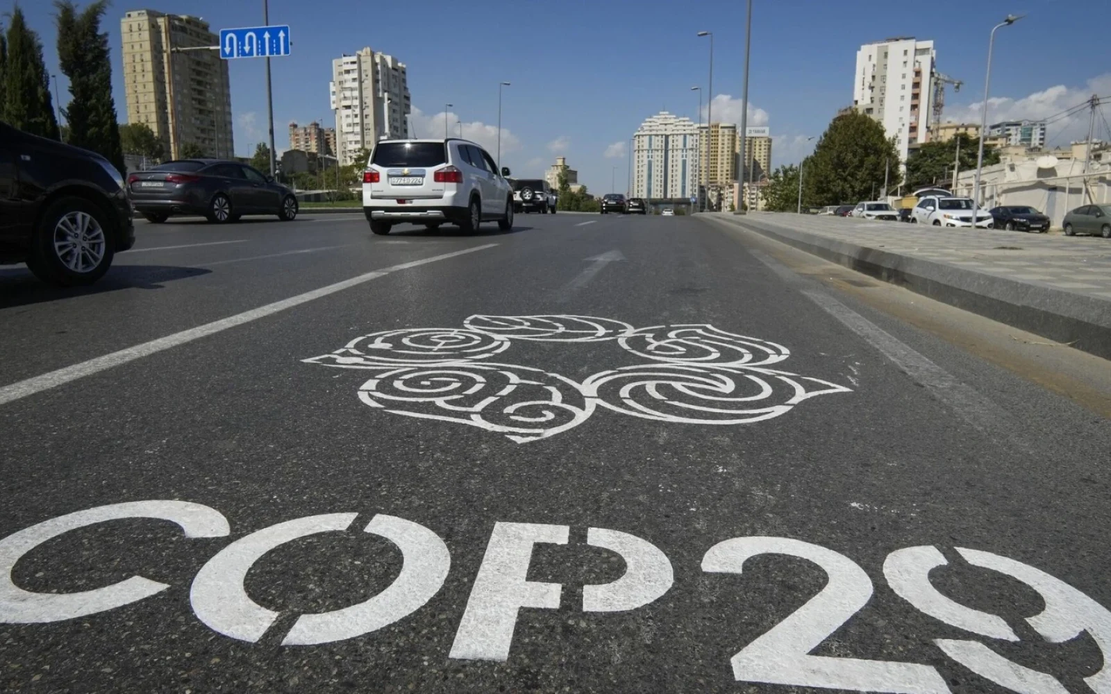 COP29