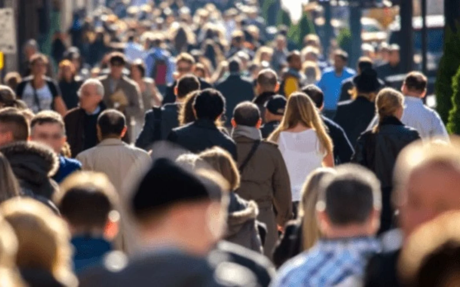 əhalinin sıxlığına görə, Dövlət Statistika Komitəsi