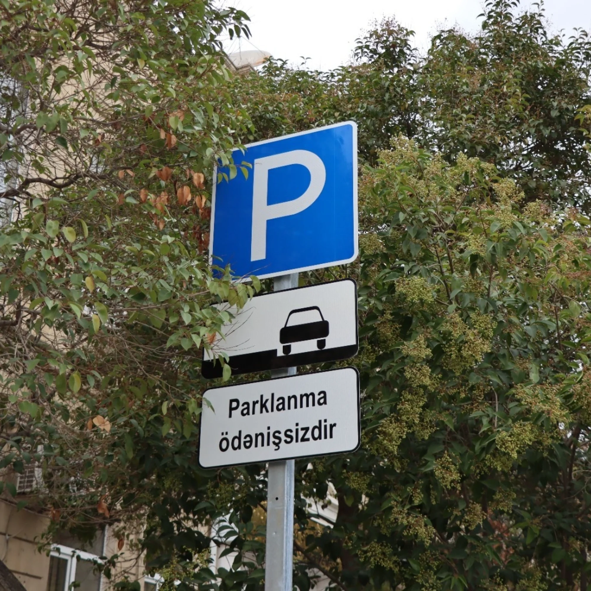 parklanma